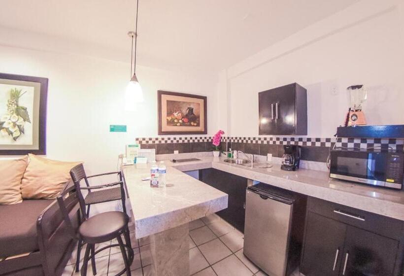 酒店 Suites Nadia Puerto Vallarta