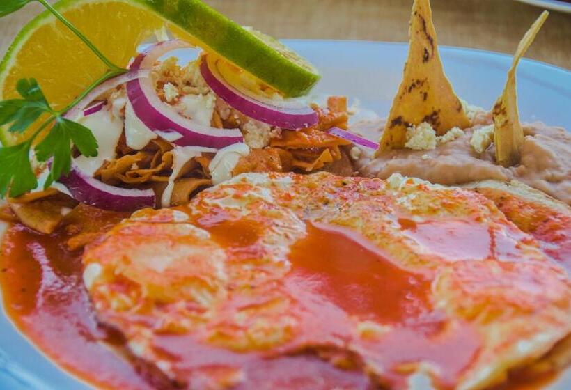 酒店 Suites Nadia Puerto Vallarta