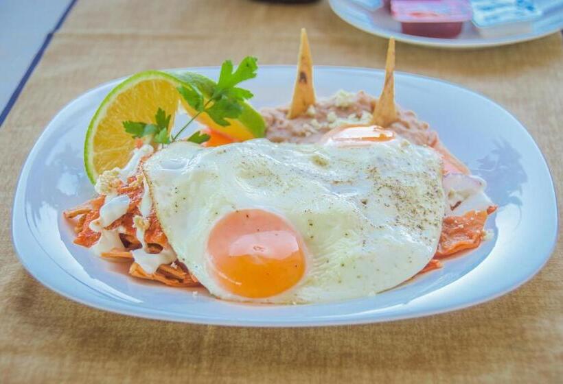 酒店 Suites Nadia Puerto Vallarta