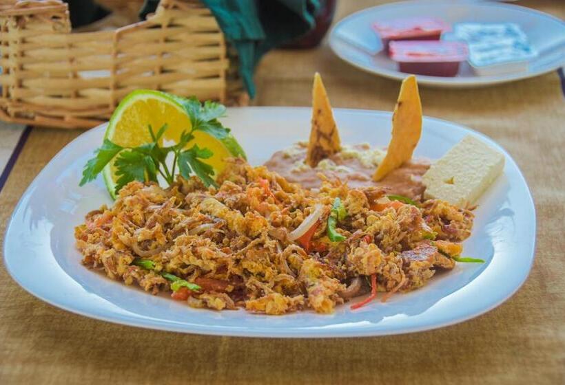 酒店 Suites Nadia Puerto Vallarta