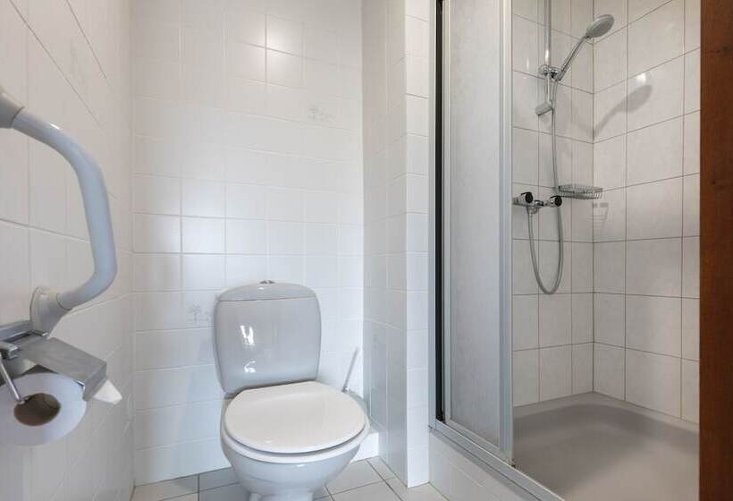 בית מלון כפרי De Klok