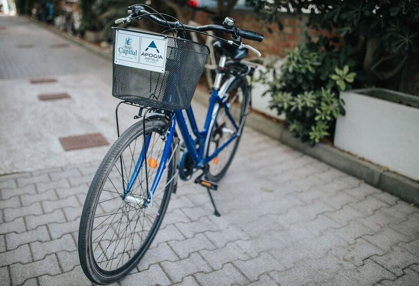 בית מלון כפרי Capitol