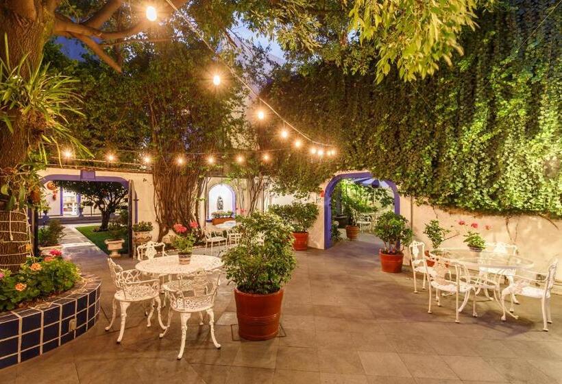 هتل Casa Gonzalez