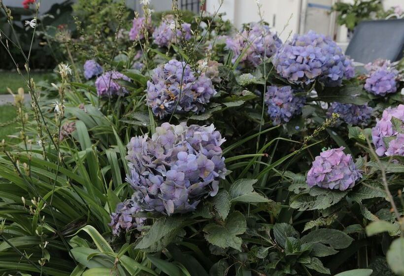 هتل Casa Gonzalez