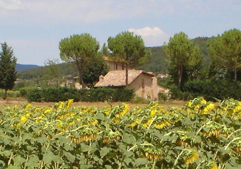 酒店 Casale Il Colombaio Di Toiano
