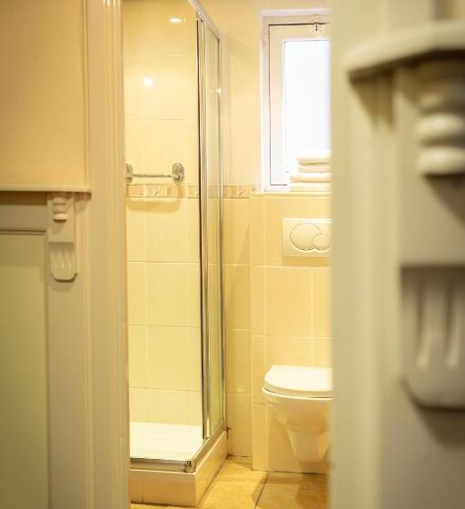 酒店 De Gulden Leeuw