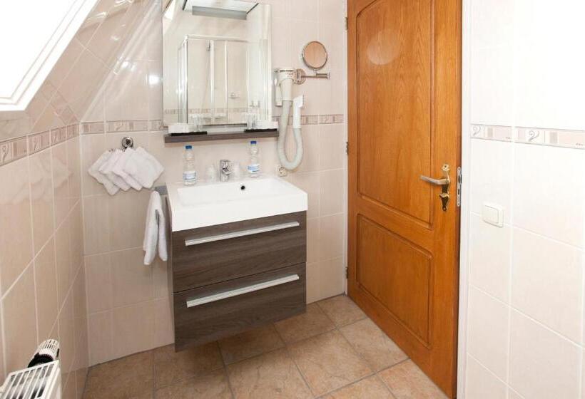 酒店 De Gulden Leeuw