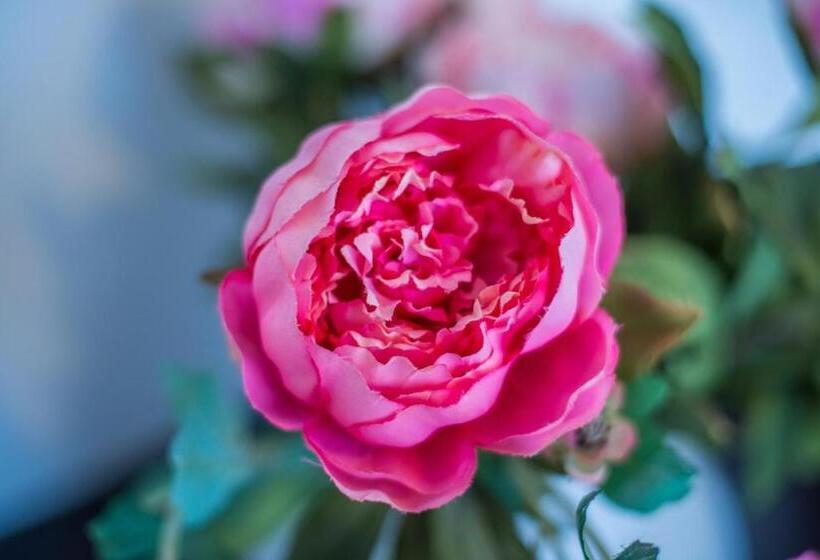 בית מלון כפרי Dimora Grottone