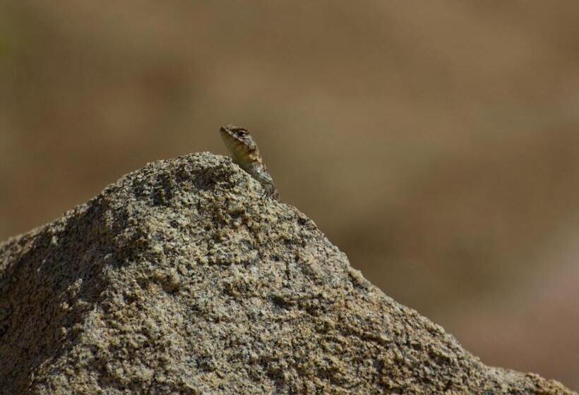 ホテル Encuentro Guadalupe