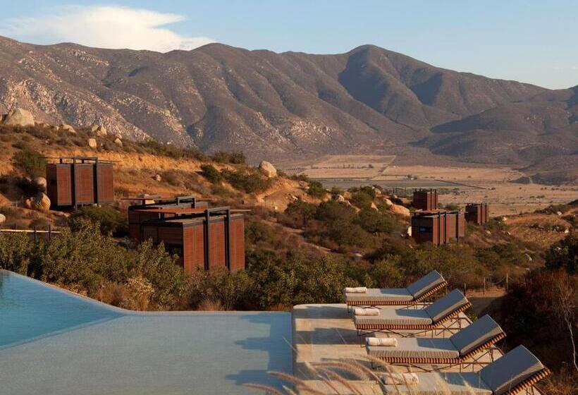 ホテル Encuentro Guadalupe