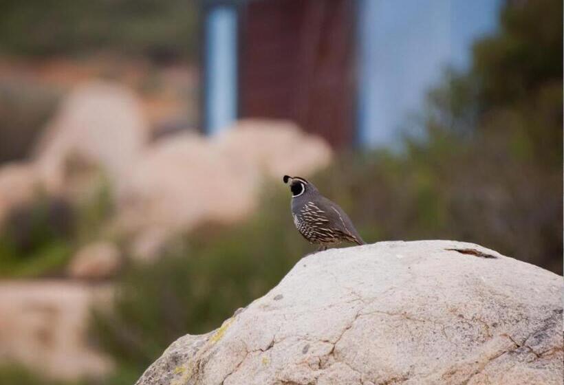 ホテル Encuentro Guadalupe