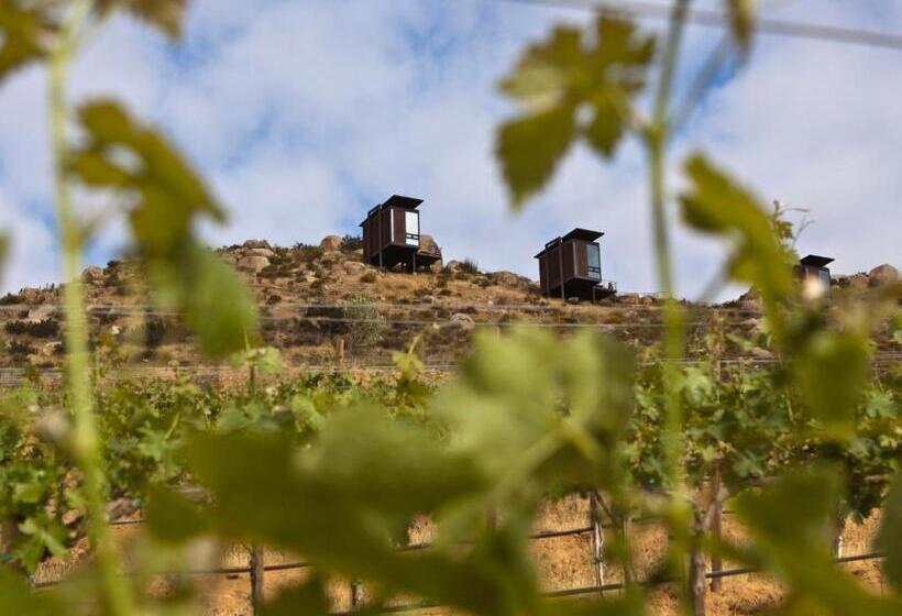 ホテル Encuentro Guadalupe