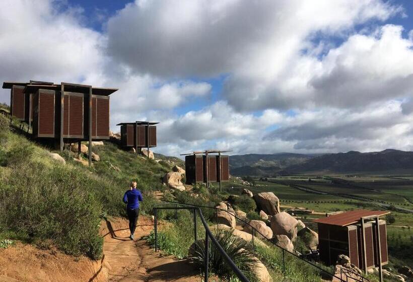 ホテル Encuentro Guadalupe