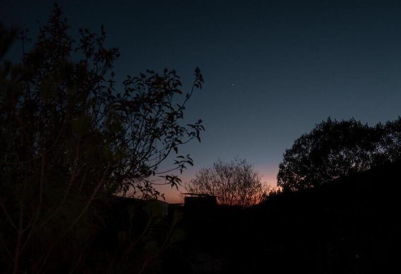 ホテル Encuentro Guadalupe