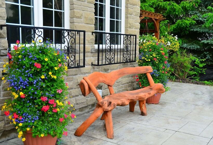 ホテル Explorer House Bed & Breakfast