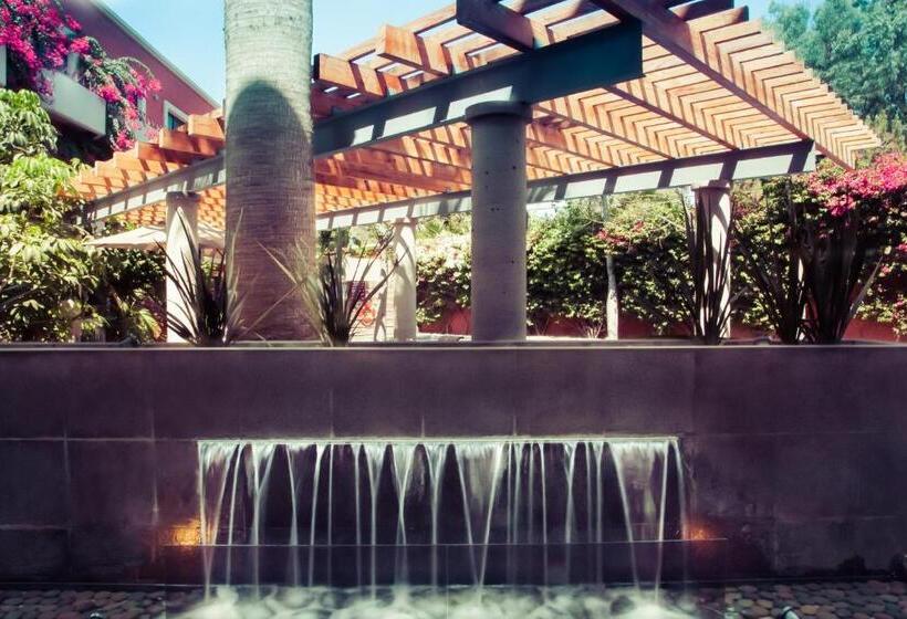 فندق Gamma Tijuana