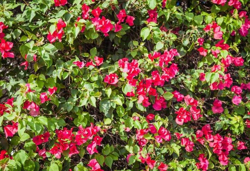 فندق Gamma Tijuana