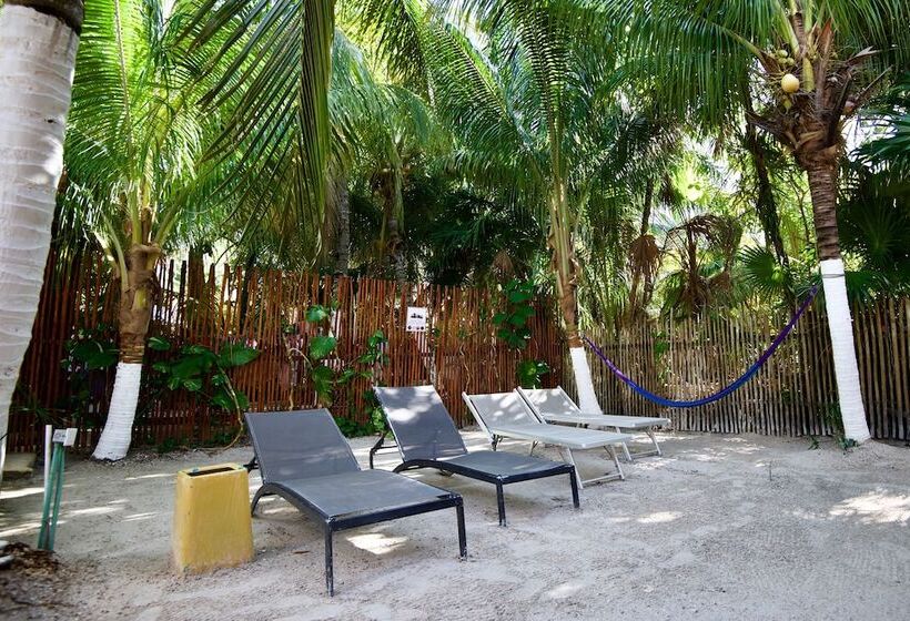 فندق Golden Paradise Town