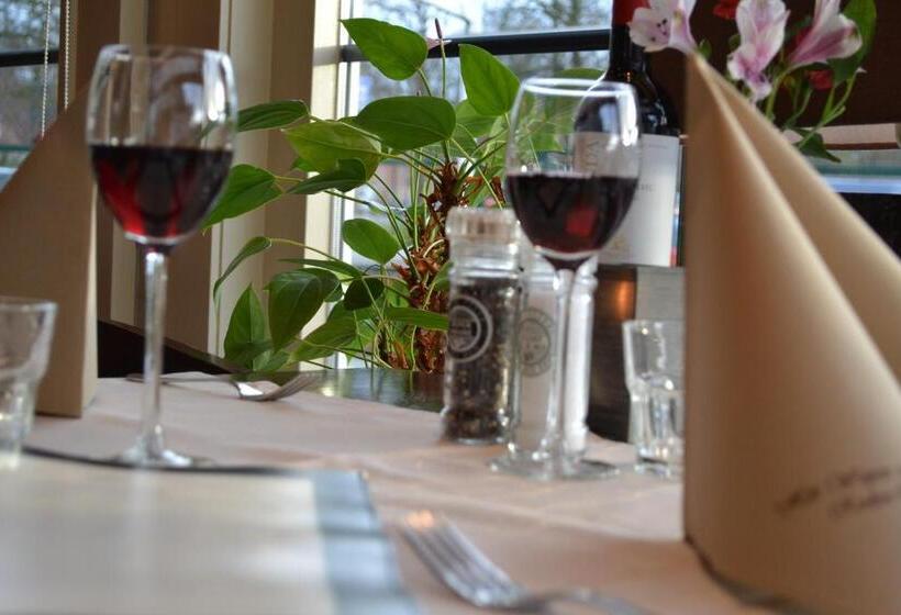 فندق Het Wapen Van Drenthe