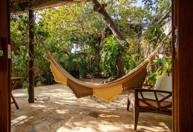 فندق Hurricane Jeri