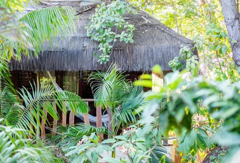 فندق Hurricane Jeri