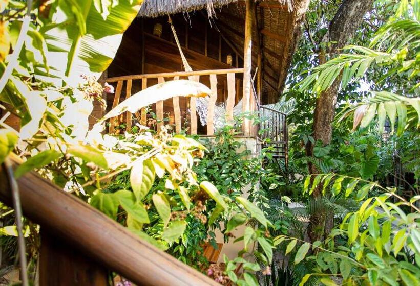 فندق Hurricane Jeri