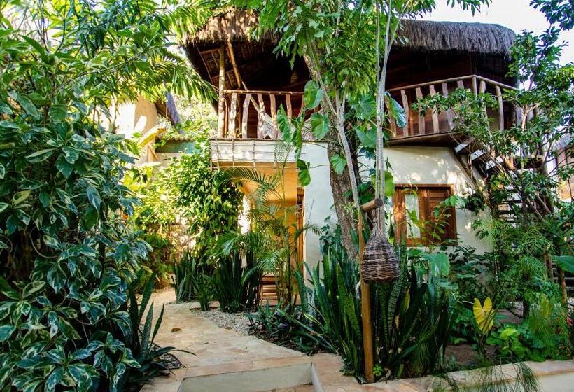 فندق Hurricane Jeri