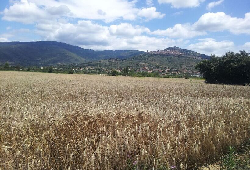 Отель Il Gelso Di Mario