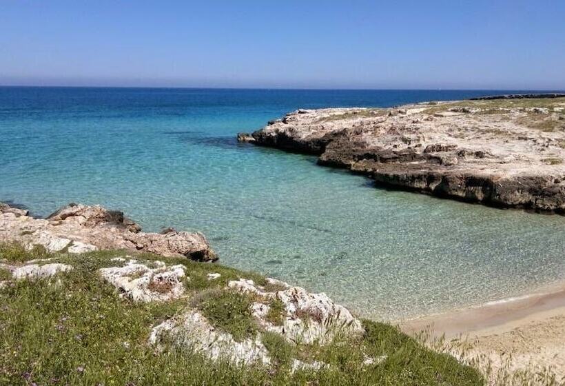 בית מלון כפרי La Torre E Il Mare Rooms