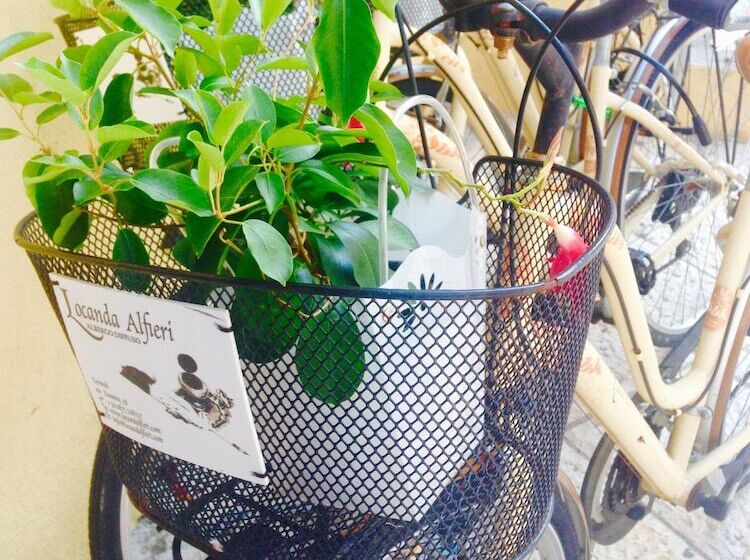 Отель Locanda Alfieri