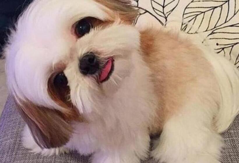 בית מלון כפרי Maris