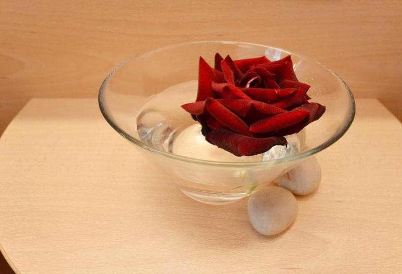 ホテル Mason La Zondra