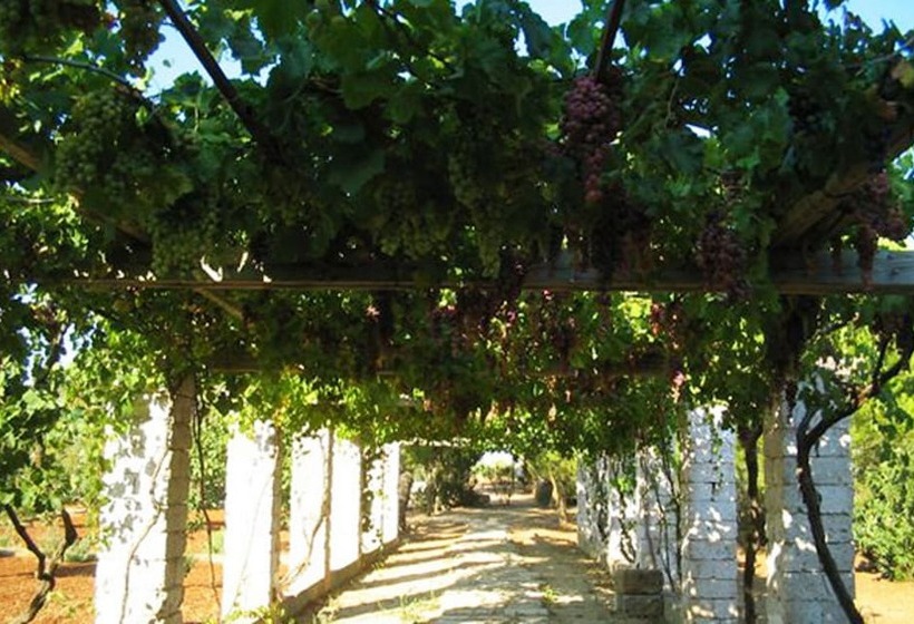 酒店 Masseria Cristo