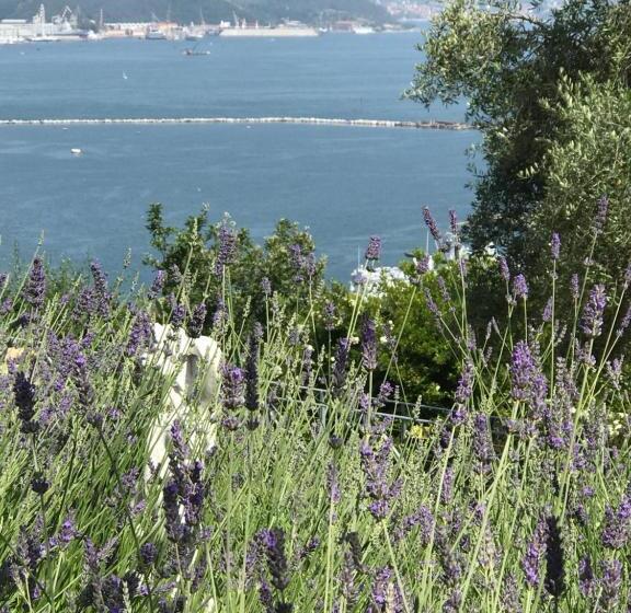 هتل Miramare Apartments&suites