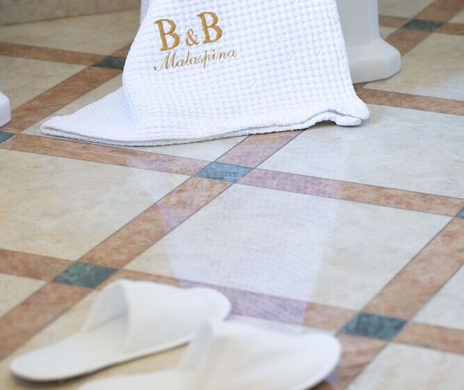 酒店 Palazzo Malaspina B&b