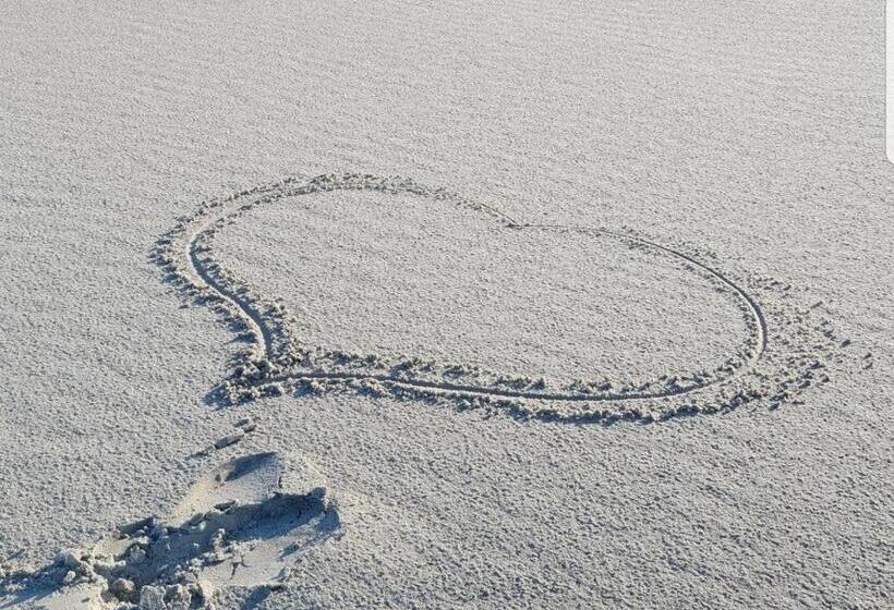 酒店 Pension Bakema