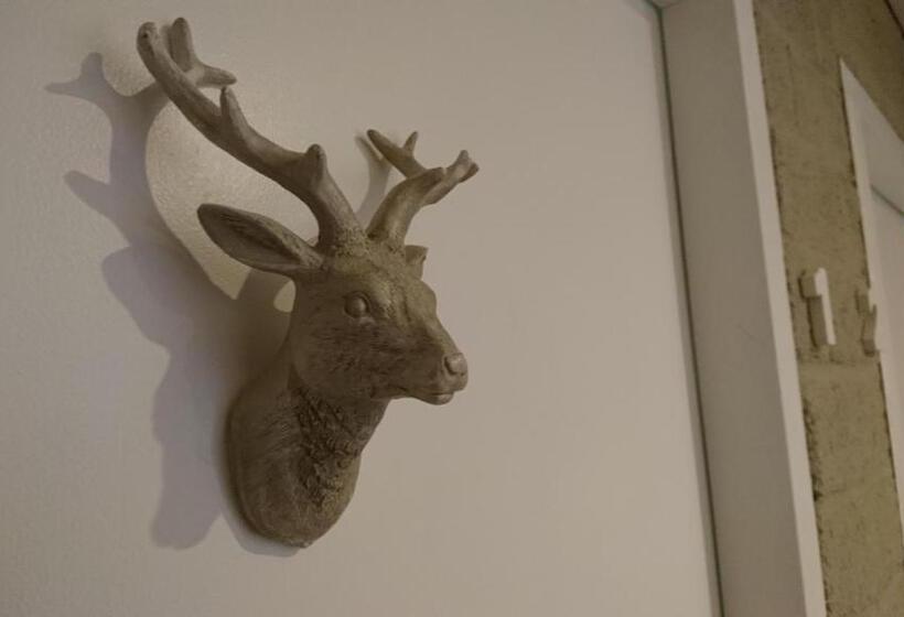 酒店 Pension Bakema