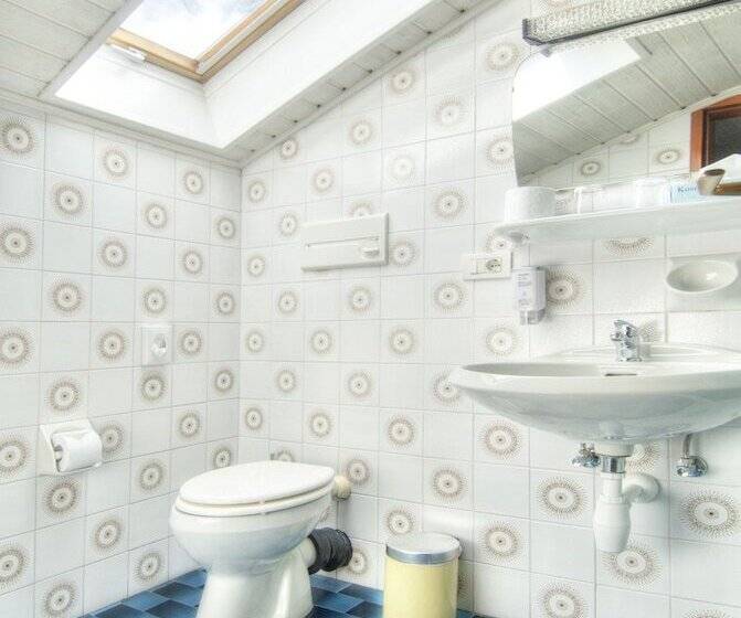 בית מלון כפרי Pension Löwen