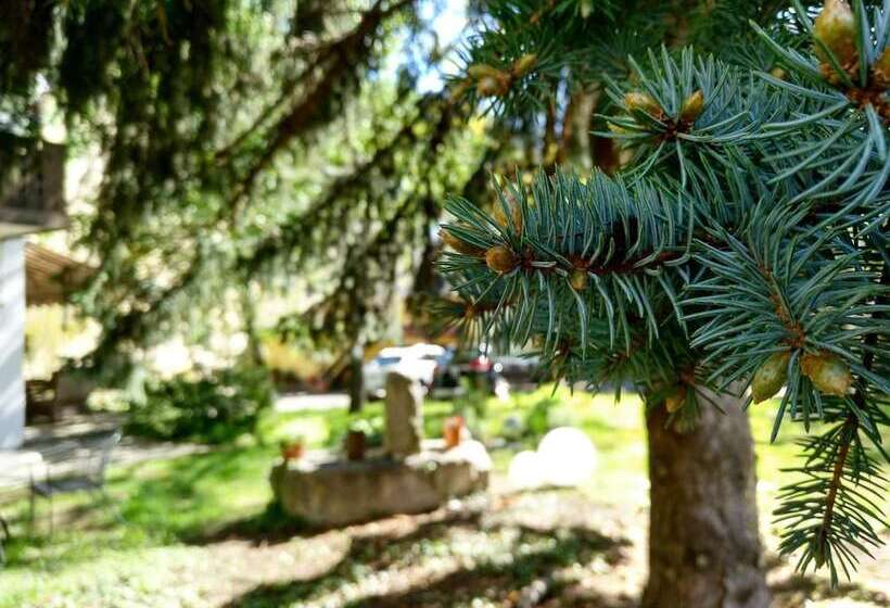 בית מלון כפרי Pension Schweitzer