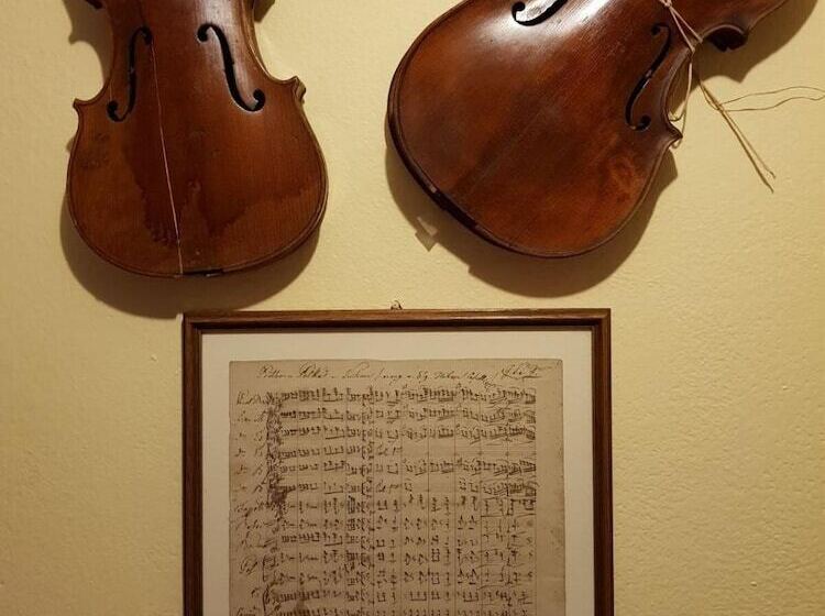 בית מלון כפרי Pension Schweitzer