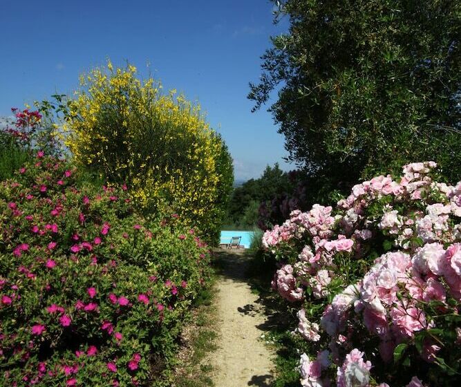 בית מלון כפרי Podere Il Pino