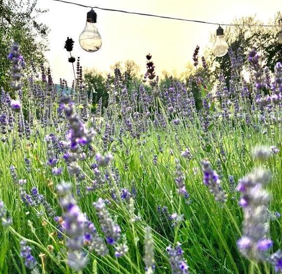 هتل Podere Montecorno