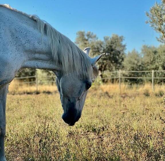 هتل Podere Montecorno