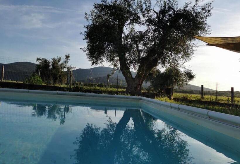 هتل Podere Montecorno