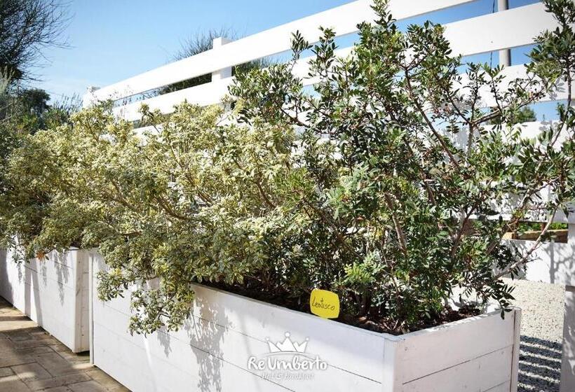 בית מלון כפרי Re Umberto Suite