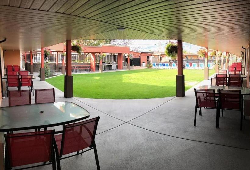 בית מלון כפרי Sahara Courtyard Inn Osoyoos