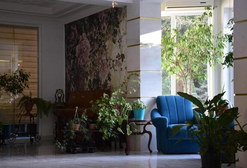 هتل Silk Road Lodge