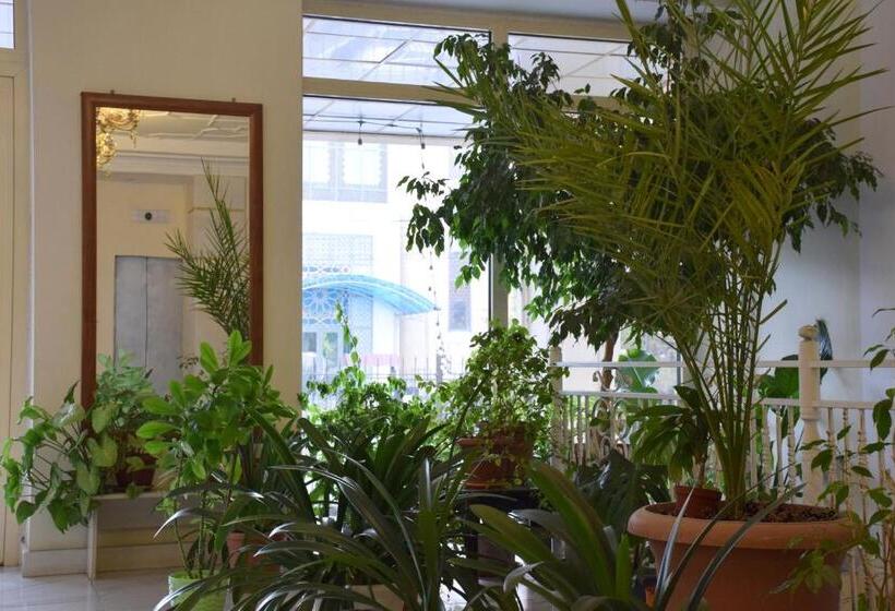 هتل Silk Road Lodge