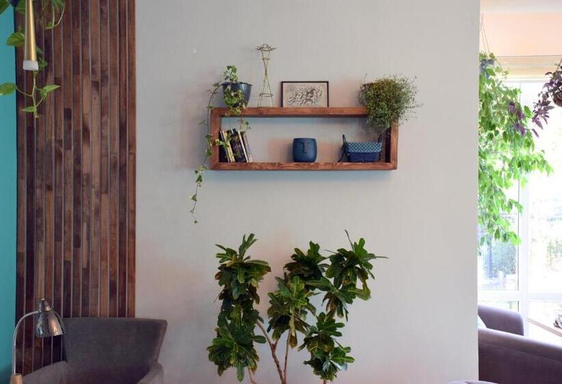 هتل Silk Road Lodge