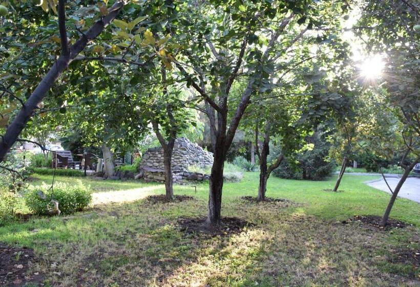 هتل Silk Road Lodge